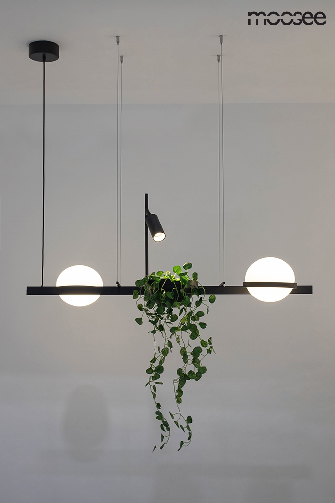 MOOSEE lampa wisząca PLANT czarna - obrazek 15