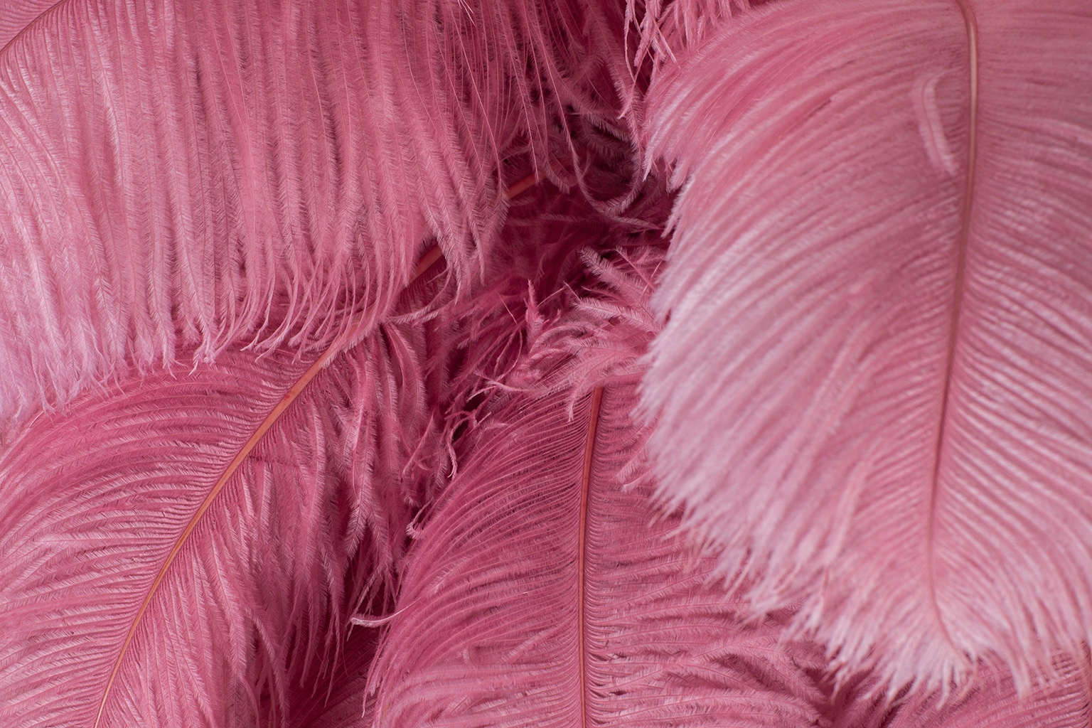 Lampa wisząca TIFFANY 135 różowa mosiądz / naturalne pióra - obrazek 9