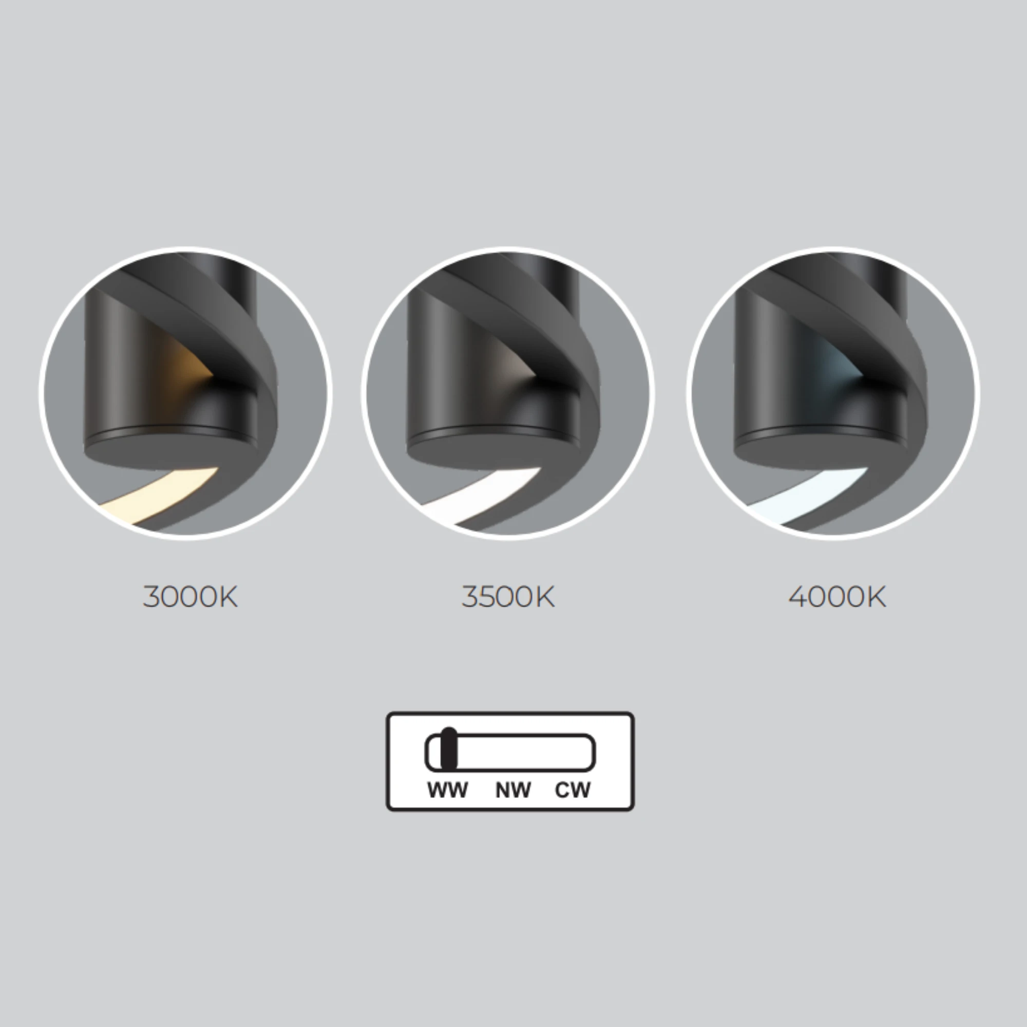 Plafon Ringa M 1xLED czarny CL0112-M-BK - obrazek 9