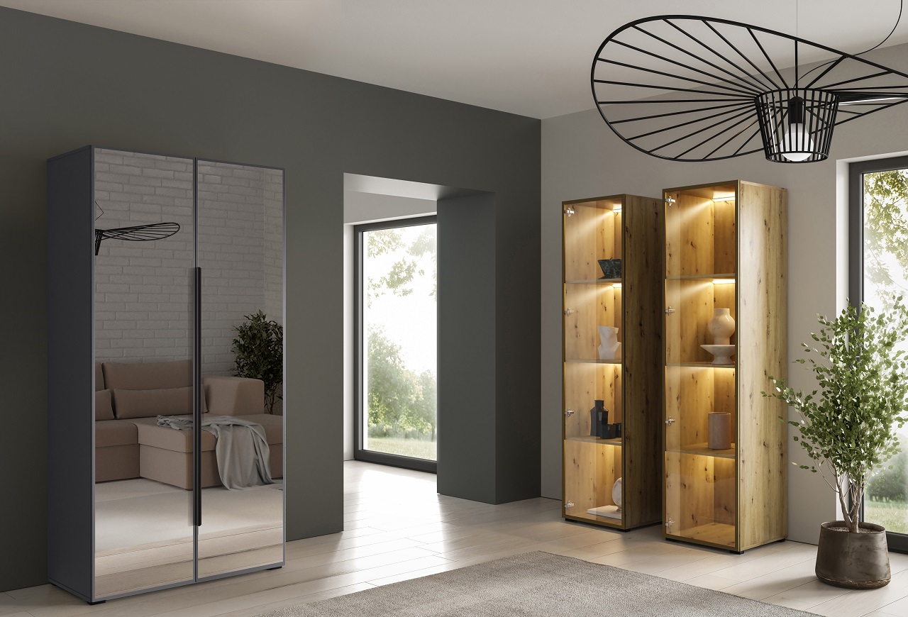 Szafa z lustrem CABO 2L 100 antracyt - obrazek 4