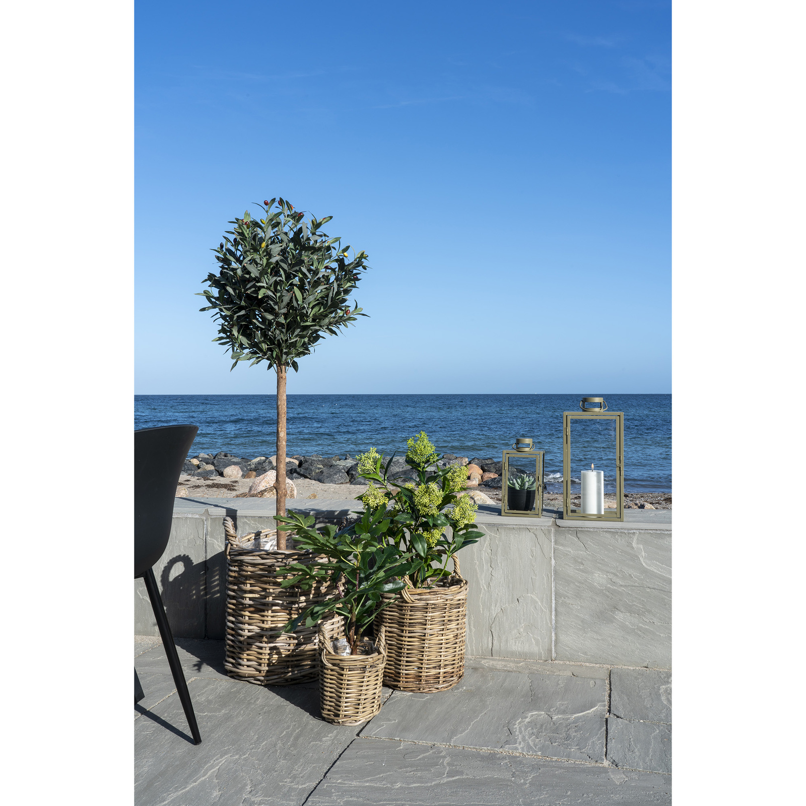 Sztuczne drzewo Skimmia 75cm - obrazek 3