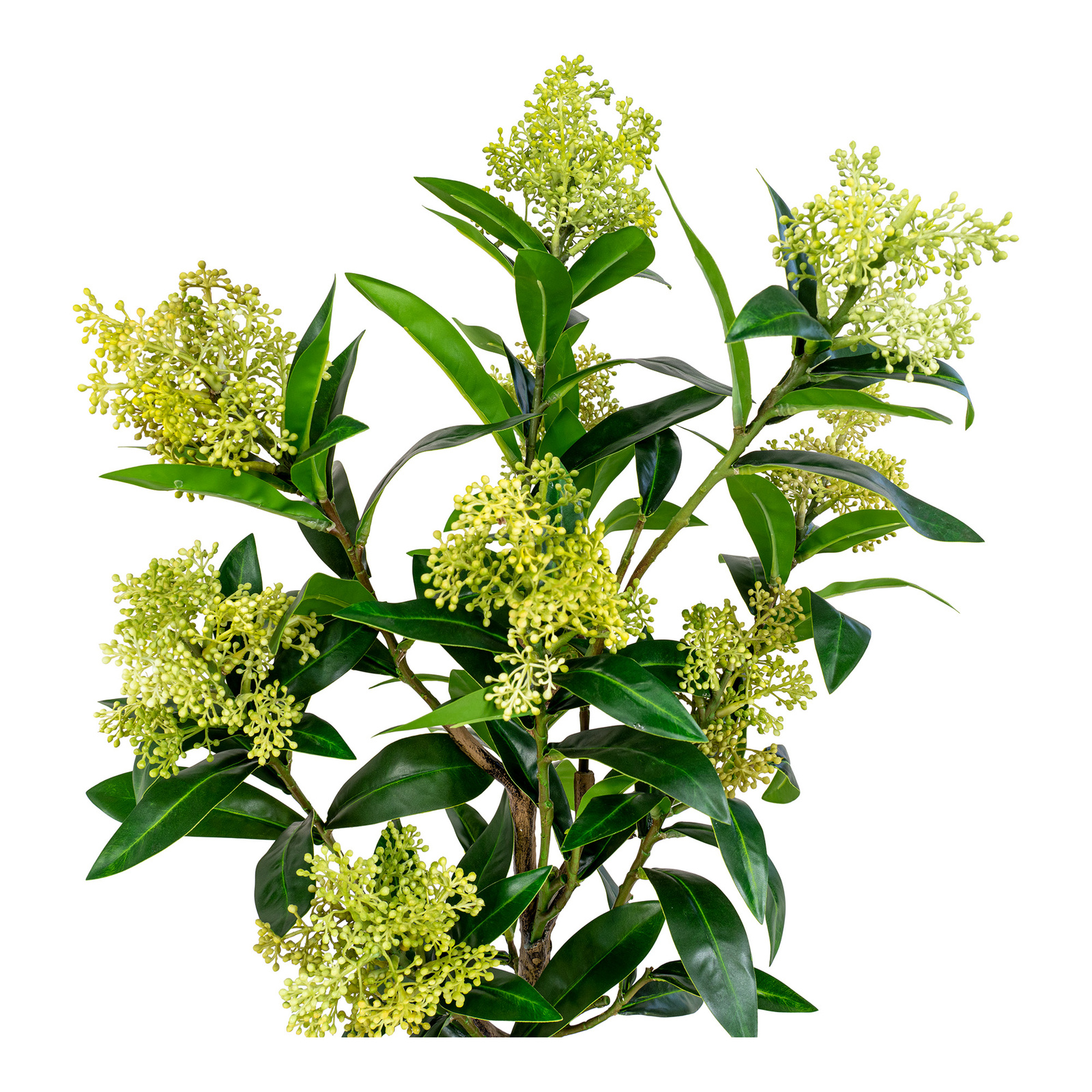 Sztuczne drzewo Skimmia 75cm - obrazek 8