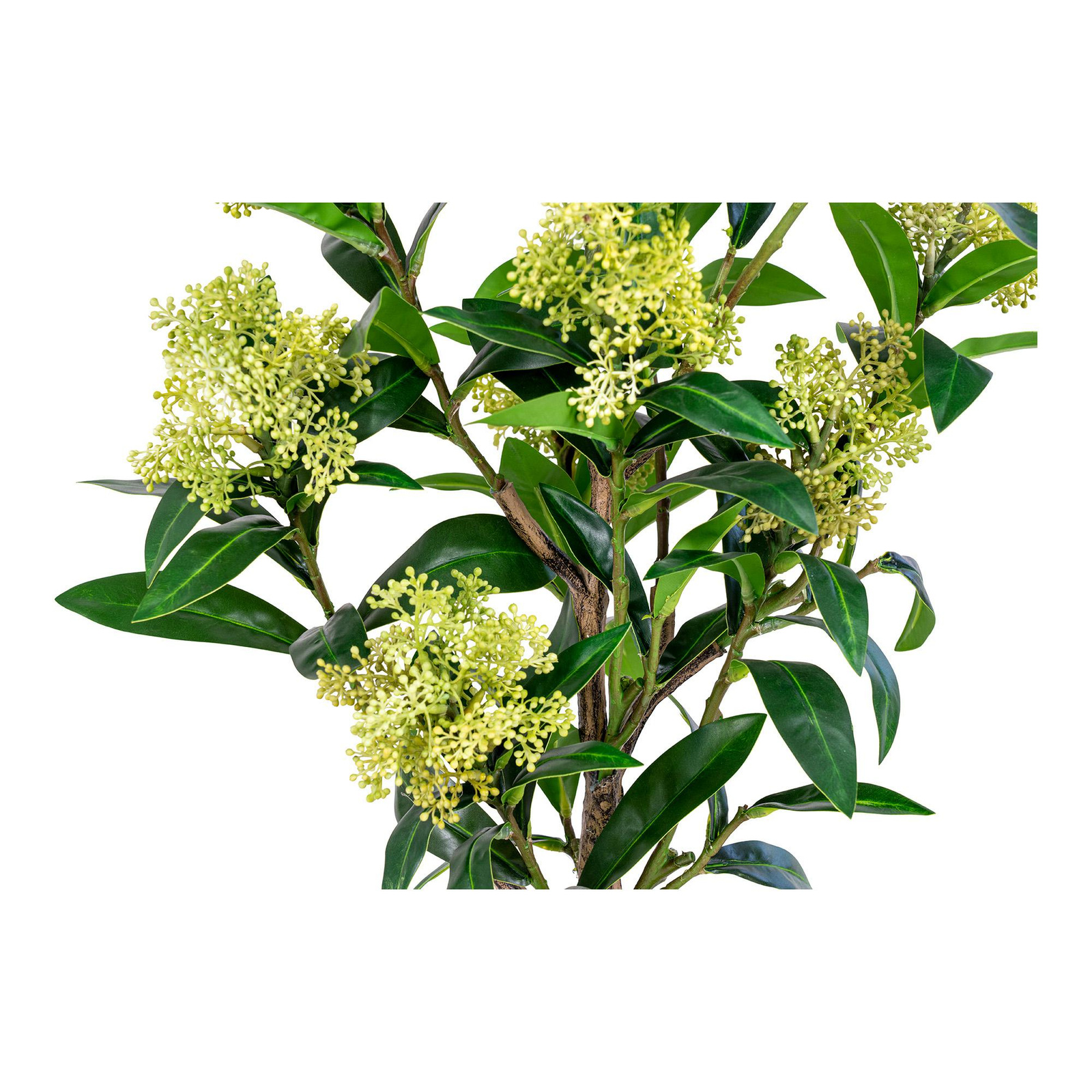 Sztuczne drzewo Skimmia 75cm - obrazek 9