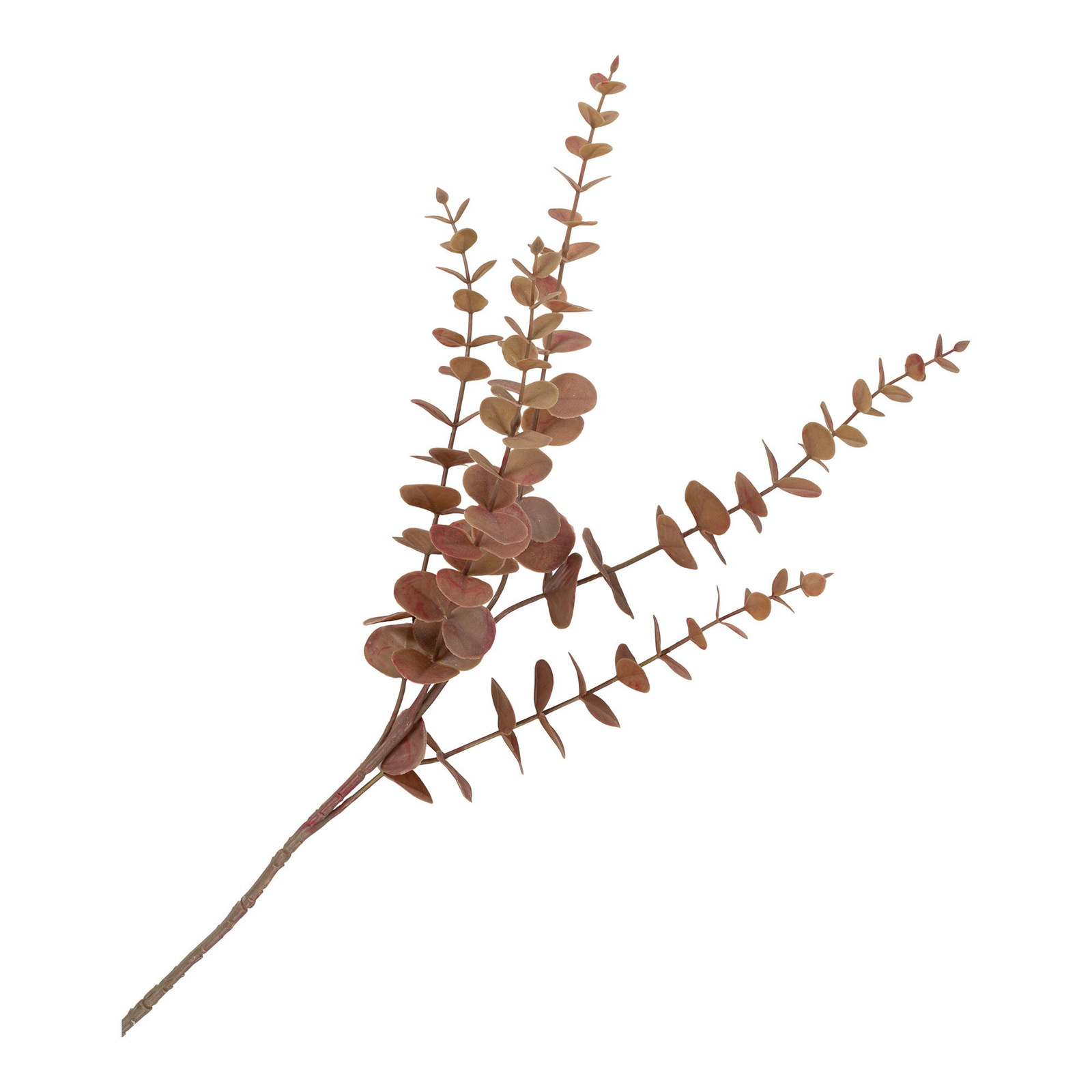 Sztuczne kwiaty Bukiet King Protea - obrazek 4